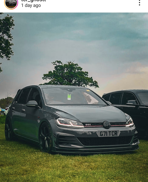 VW Golf GTI TCR with some tinted hex 3D gel plates