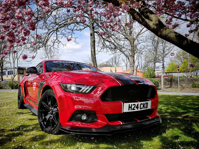Ford Mustang GT with some 3D gel plates