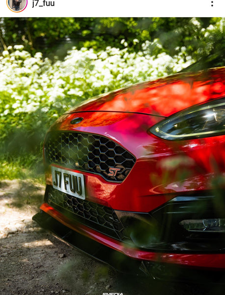 Ford Fiesta ST with some short 3D gel plates
