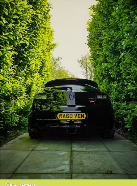 Renault Megane RS with some hex shaped 4D plates