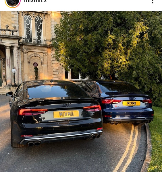 Audi S5 and S3 with 3D gel and hex 4D plates